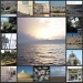 Israel Collage by olivetreeann
