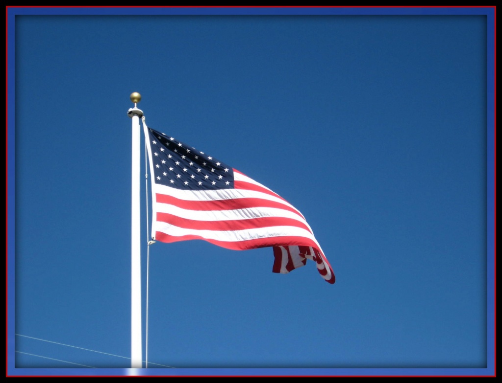 Cape May Flag by olivetreeann