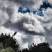 Clouds by mattjcuk