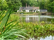14th Aug 2011 - The Boat House.