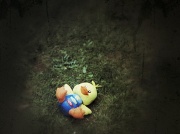 14th Aug 2011 - A discarded toy