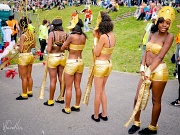 14th Aug 2011 - Carnival queue