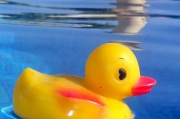 14th Aug 2011 - Rubber duck