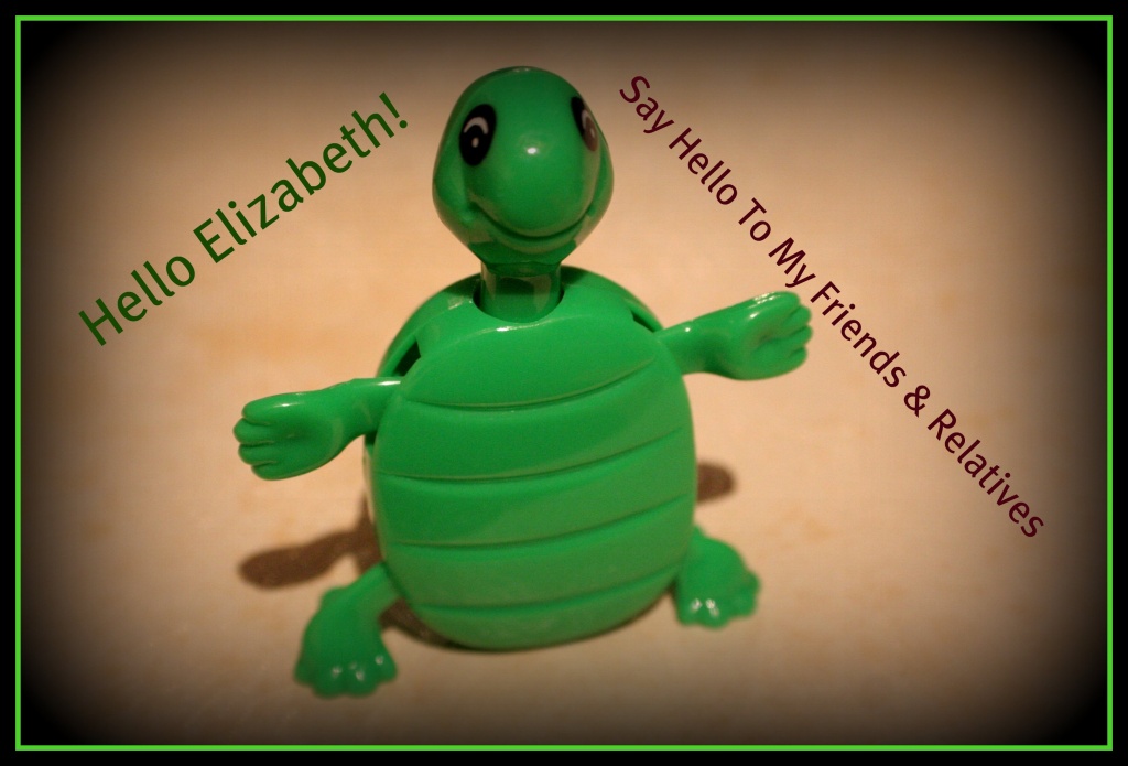 A Turtle For Elizabeth by digitalrn