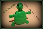 15th Aug 2011 - A Turtle For Elizabeth