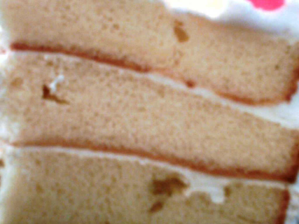 Leftover Coconut Cake 8.14.11 by sfeldphotos