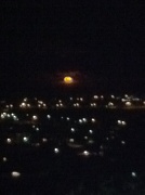 15th Aug 2011 - Orange moon