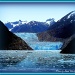 Glaciers at Tracy Arm Fjord near Juneau by vernabeth