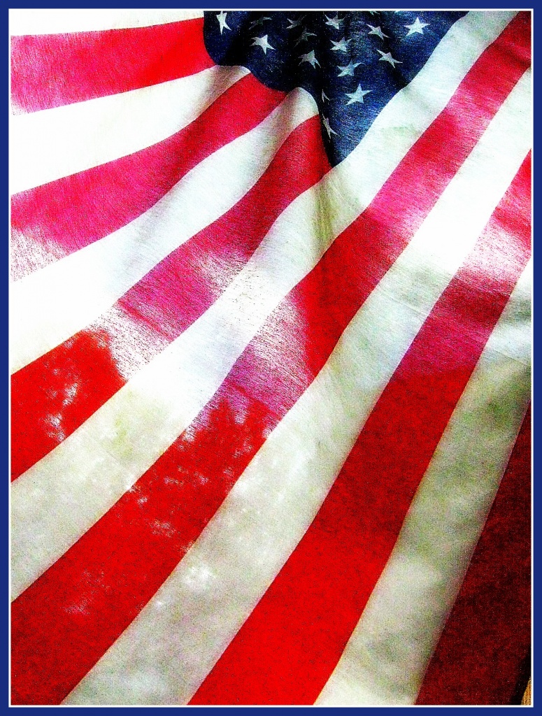 Standard  (The Stars and Stripes) by olivetreeann