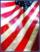 16th Aug 2011 - Standard  (The Stars and Stripes)