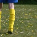 Co-ordinating Socks and Dandelions by helenmoss