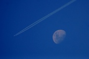 24th Apr 2010 - Fly Me To The Moon