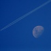 Fly Me To The Moon by andycoleborn