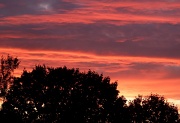 17th Aug 2011 - Sunset