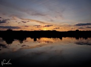 17th Aug 2011 - Thames silhouettes