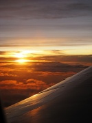 9th Aug 2011 - flying home. 