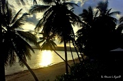 18th Aug 2011 - Sunshine in Siquijor