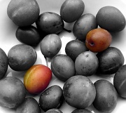 17th Aug 2011 - Plums