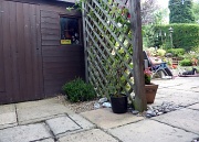 18th Aug 2011 - Hidden shed revealed !