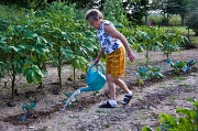 12th Aug 2011 - Aunt Elfriede Watering her Gardenn