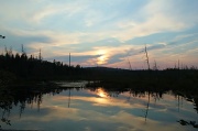 19th Aug 2011 - Swampy sunset