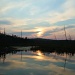 Swampy sunset by mandyj92
