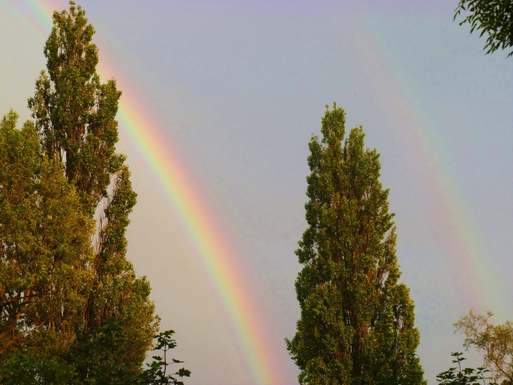 Rainbows by moominmomma