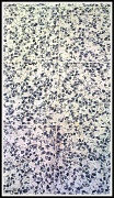 18th Aug 2011 - Floor tiles