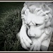 A Lion Lyin' by allie912