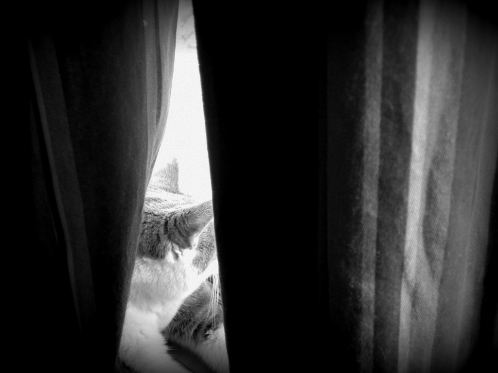 Hiding Spot  by mej2011