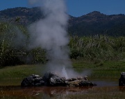 12th Aug 2011 - Waiting for the geyser