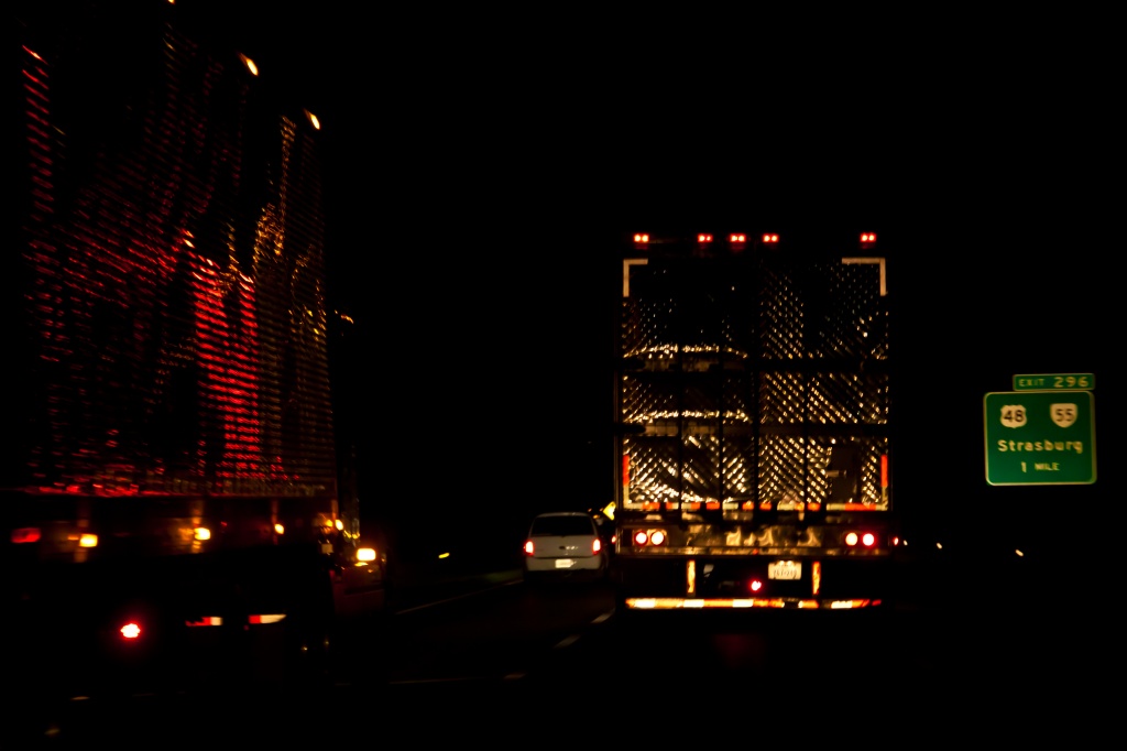 Trucks on I-81 North by jbritt