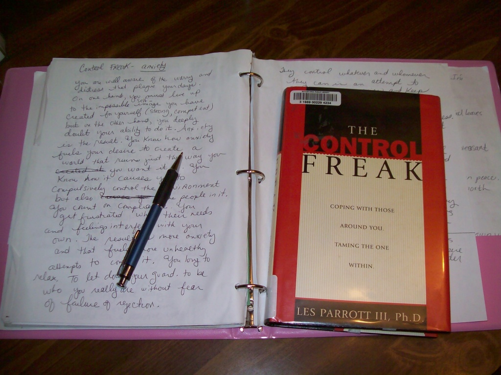 The Control Freak by julie