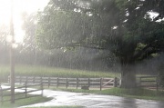 19th Aug 2011 - Yep, Still Raining