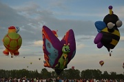 21st Aug 2011 - Hot Air Balloons