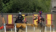 20th Aug 2011 - Jousting