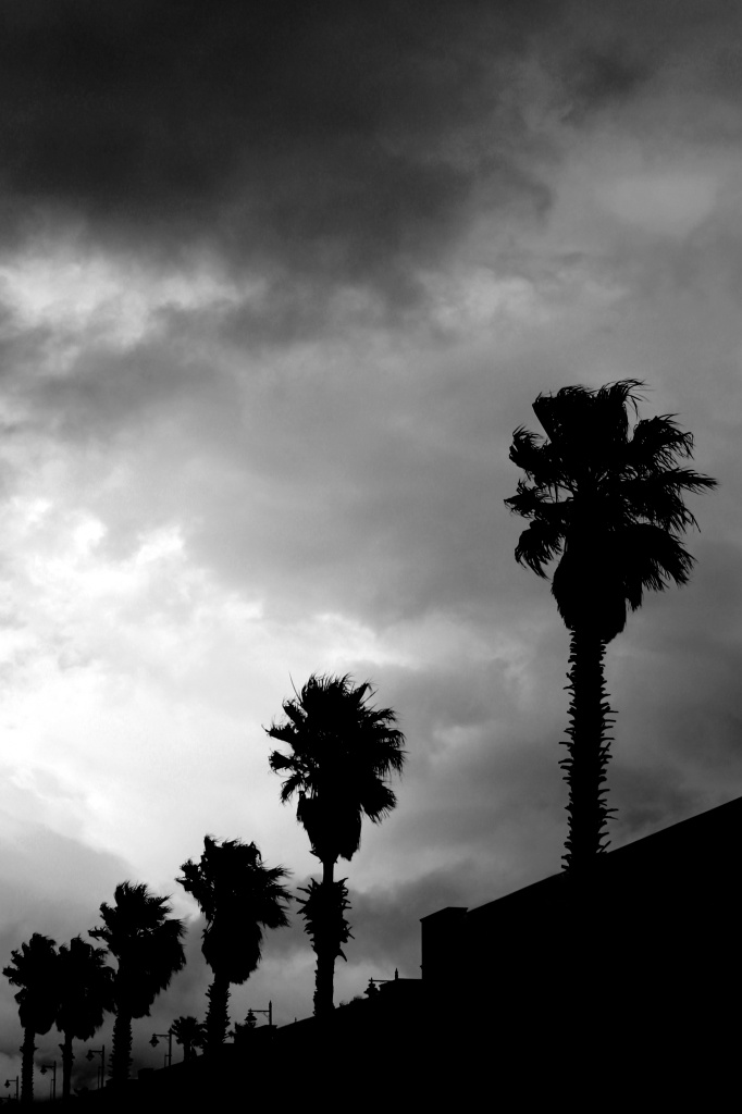 Storm clouds by eleanor