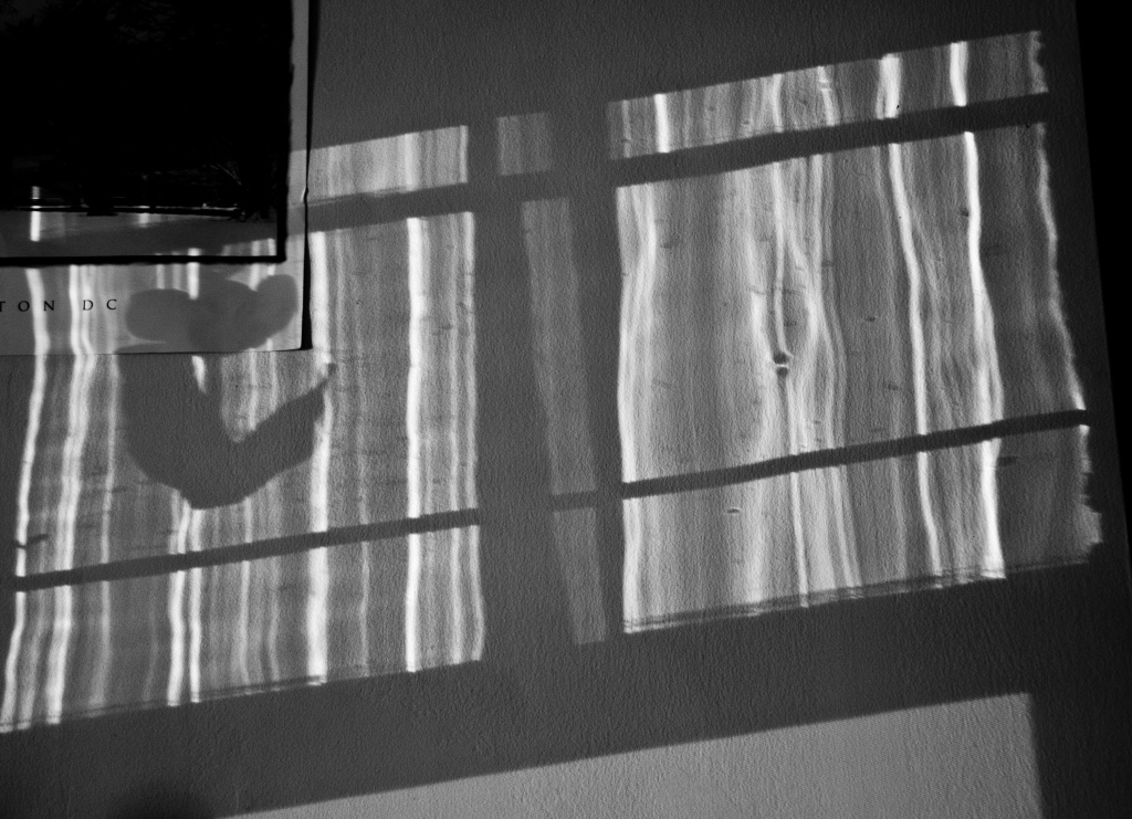 Wavy Glass Shadows by jbritt