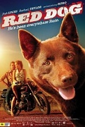 24th Aug 2011 - RED DOG - The Movie - A Must See