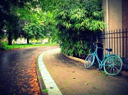 24th Aug 2011 - Blue bike