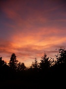 24th Aug 2011 - Sunset from my porch
