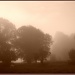 Misty morning by sarahhorsfall