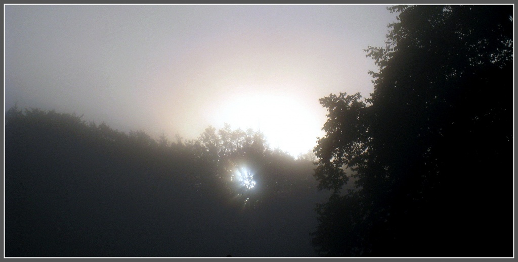 Another misty sunrise shot by sarahhorsfall
