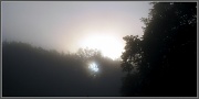 19th Aug 2011 - Another misty sunrise shot