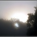 Another misty sunrise shot by sarahhorsfall