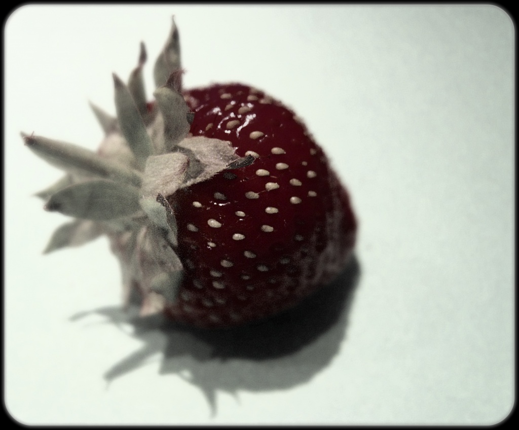 Strawberry by sarahhorsfall