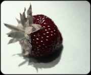 25th Aug 2011 - Strawberry