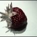 Strawberry by sarahhorsfall