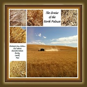 25th Aug 2011 - Harvest Collage