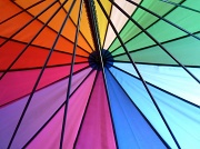 29th Aug 2011 - Umbrella